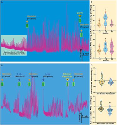 Brainstem activation of GABAB receptors in the nucleus tractus solitarius increases gastric motility